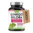 GINKGO BILOBA EKSTRAKTe. Holmikpuu 120 mg 365 tabletti12 kuu jagu