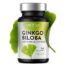 Ginkgo Biloba Ekstrakt 79 mg 365 tabletti – kvaliteetse hõlmikpuu ekstraktiga taimne toidulisand