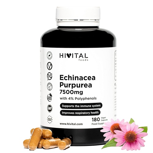 ECHINACEA-e.-PUNANE-PAEVAKUBAR