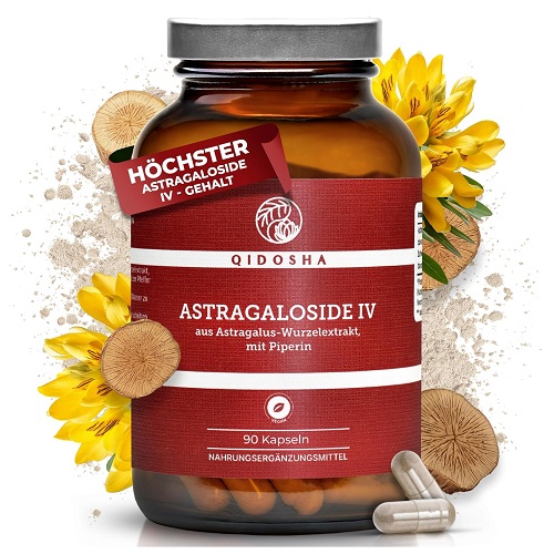 ASTRAGALUS-Hundihammas-EKSTRAKT-500-mg-90-kapslit-3-kuu-jagu