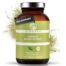 GINKGO-BILOBA-EKSTRAKTe.-Holmikpuu