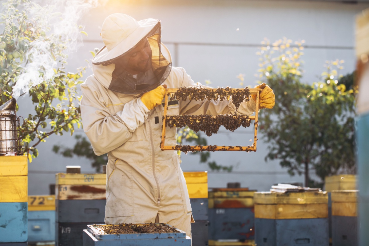Mesilaspiim ehk royal jelly on mesilaste toodetud erakordselt toitainerikas aine, millega toidetakse mesilasema. Seda on juba sajandeid hinnatud energia, vastup